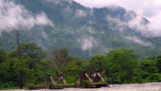 buxa forest, dooars package tour for buxa tiger reserve 
